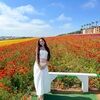 greciaavila367